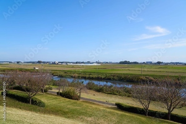 Obraz 田園風景　下野市国分寺