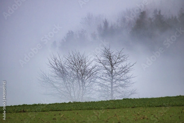 Obraz Bäume im Nebel