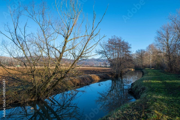Fototapeta Detail of the northern Italian countryside, detail of the river and of the embankments where the trees are reflected in the river with the reflections of the sun on an autumn day, cold but with the su