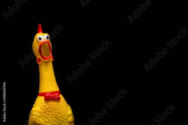 Fototapeta Chicken Scream Chalk Drawing on black background.