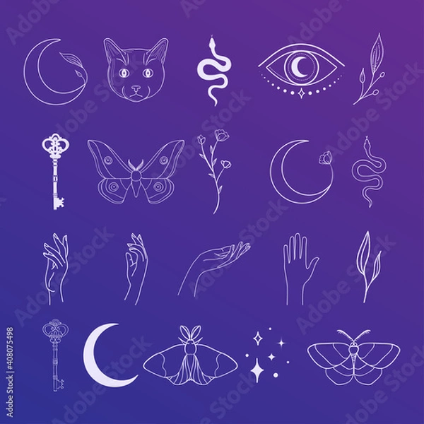 Fototapeta White vector abstract mystic line design elements