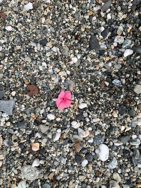 Obraz heart on the sand