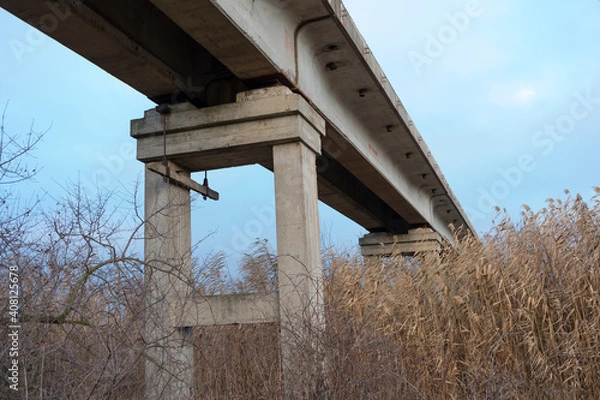Obraz Bridge over a reed-covered river