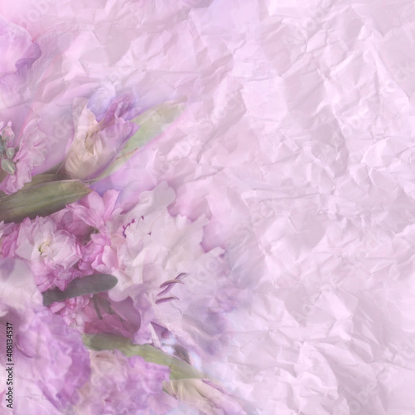 Obraz floral pattern background on pink paper background