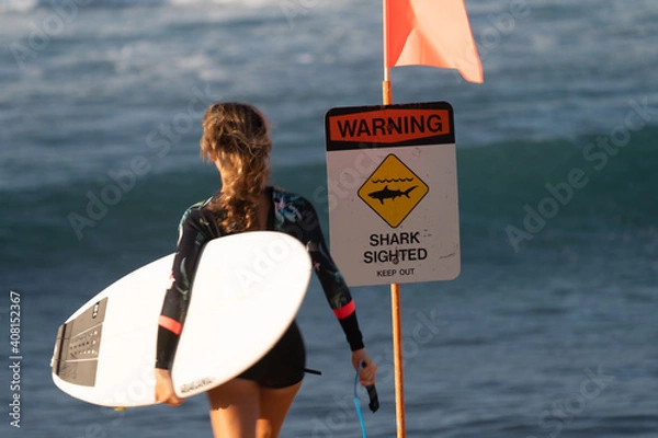 Fototapeta Surfer entering the water with a warning sign stating sharks sighted