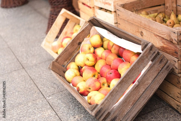 Obraz Selling harvest of apples and pears in boxes on the eco market.