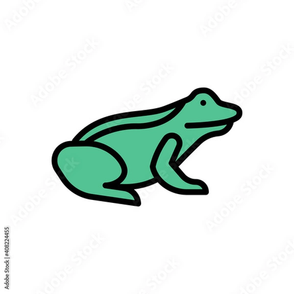 Fototapeta frog