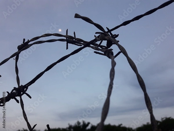 Fototapeta barbed wire face shape