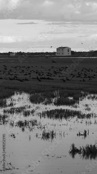 Fototapeta beach in the morning