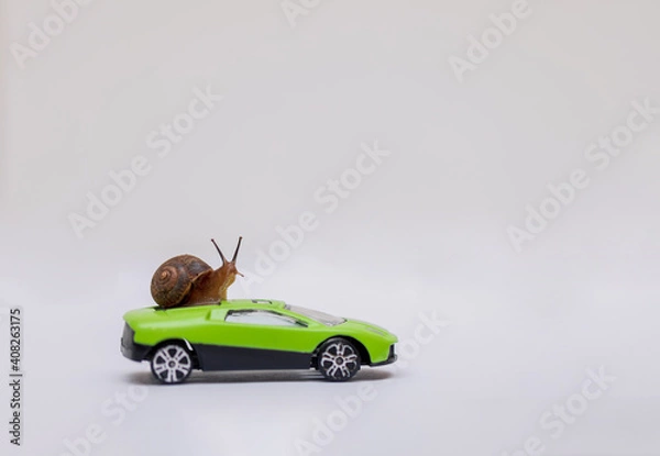 Fototapeta Snail on a green car on a light background. Mammal on a vehicle, a wild animal. Macro. Copy space.