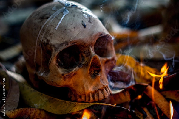Fototapeta skull and fire