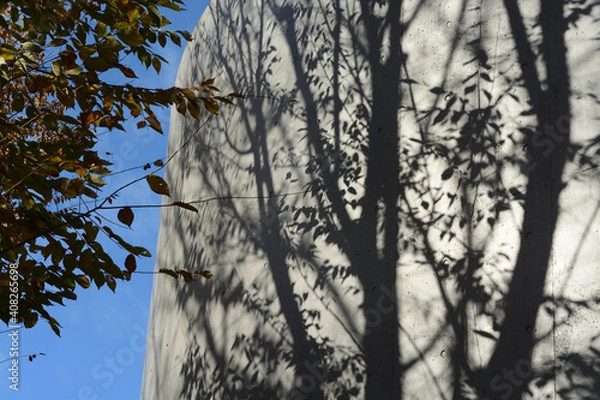 Obraz 秋の晴れた日にビルの壁面に映る木々の影