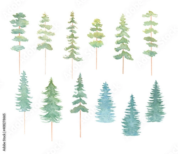 Fototapeta Watercolor abstract pine trees collection isolated on white background. Forest trees big set. Hand-painted forest clipart.