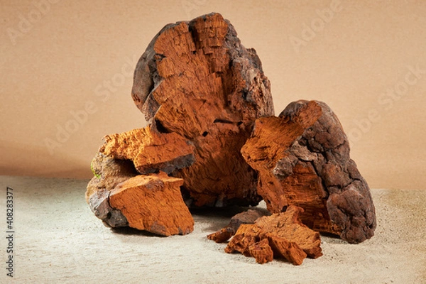 Fototapeta Natural chaga mushroom pieces on a beige background. Inonotus Obliquus is a medical plant.