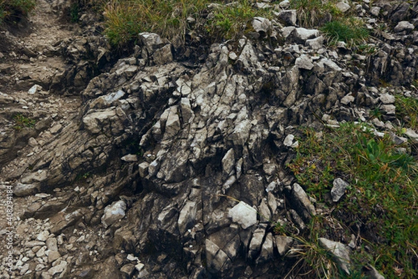 Obraz stone and moss