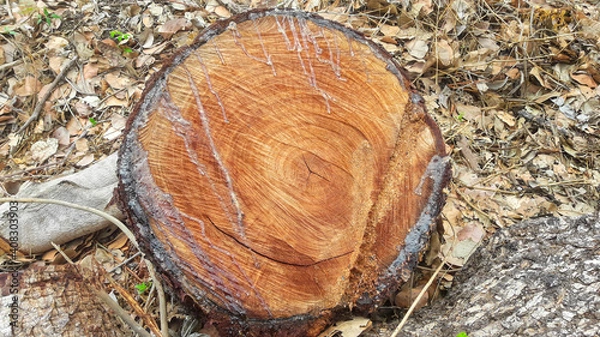 Fototapeta texture background