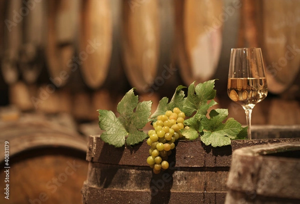 Obraz Wine Grapes in a Wine Cellar