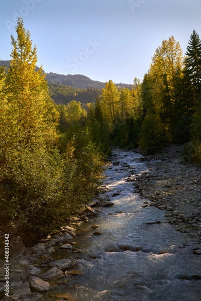 Fototapeta Fitzsimmons Creek Whistler BC. Looking up Fitzsimmons Creek in autumn. Whistler BC, Canada.

