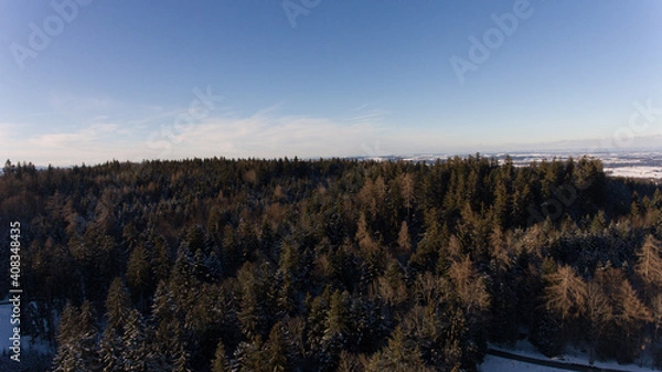 Obraz Sicht über den Wald