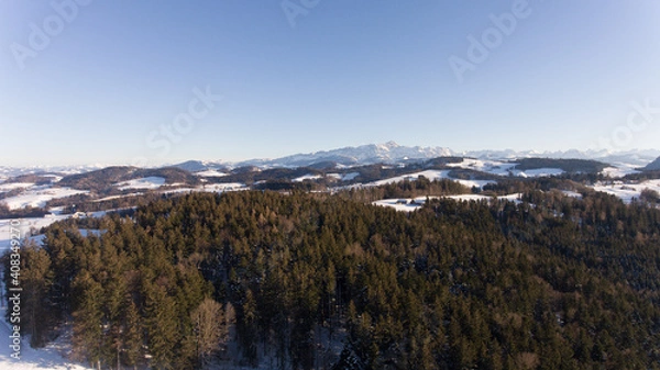 Obraz Verschneiter Berg hinter dem Wald