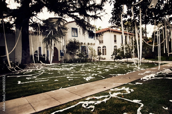 Obraz Teepeed homes