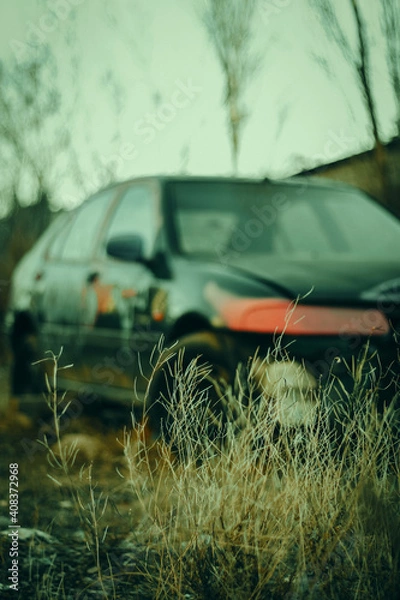 Obraz Broken Car In Post Apocalyptic City