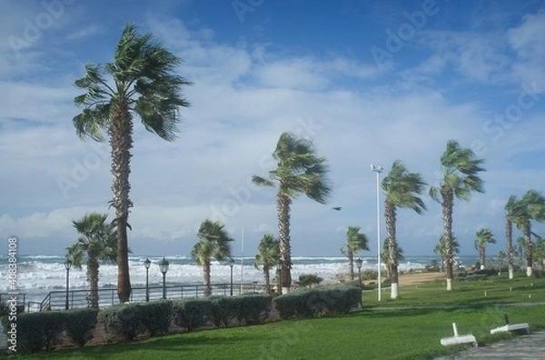 Obraz Palm beach with empty sunbeds against - Paphos Cyprus