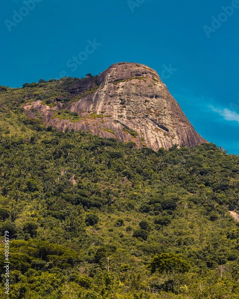 Obraz mountain and trees