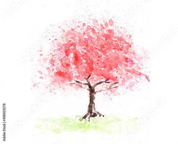 Fototapeta 桜の水彩画