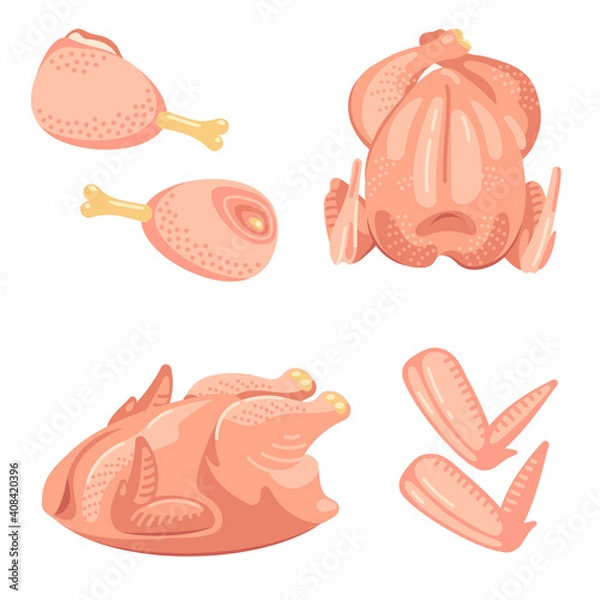 Obraz Dressed chicken meat and parts