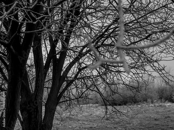 Obraz 
Winter landscape. Free entry ready