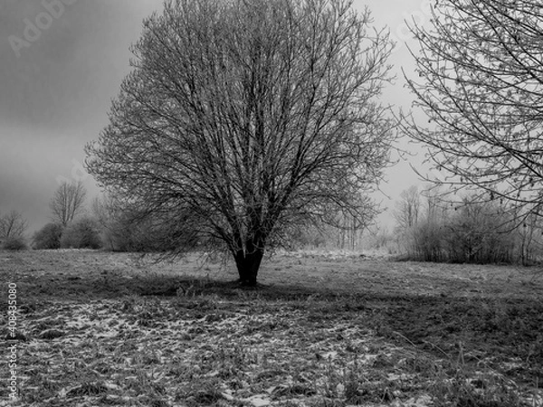 Obraz 
Winter landscape. Free entry ready