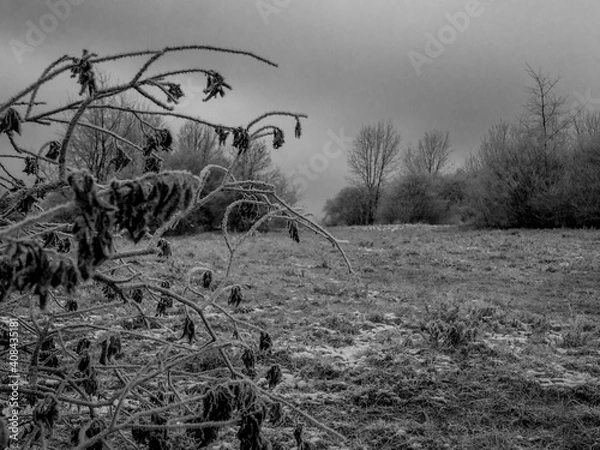 Obraz 
Winter landscape. Free entry ready