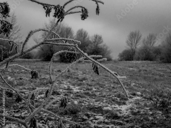 Obraz 
Winter landscape. Free entry ready