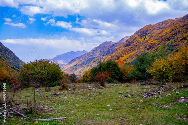 Fototapeta summer colors 