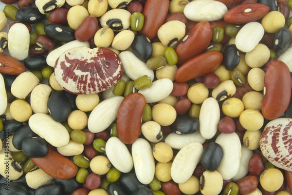 Obraz Different beans background. Beans assortment close up.