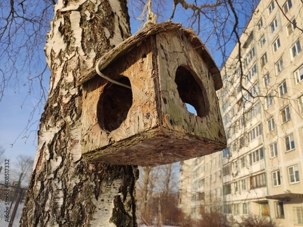 Fototapeta Old Homemade bird feeder hanging on a birch branch in the city in winter