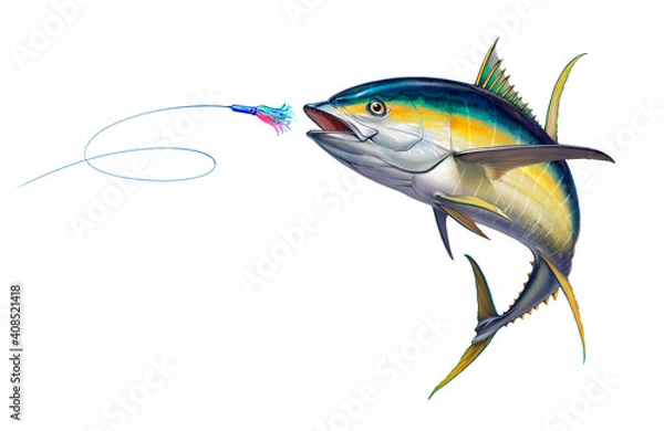 Obraz Yellow tuna black fin attacks Bait Sea Swim Squids. Realistic illustration of Yellow tuna white background isolate.