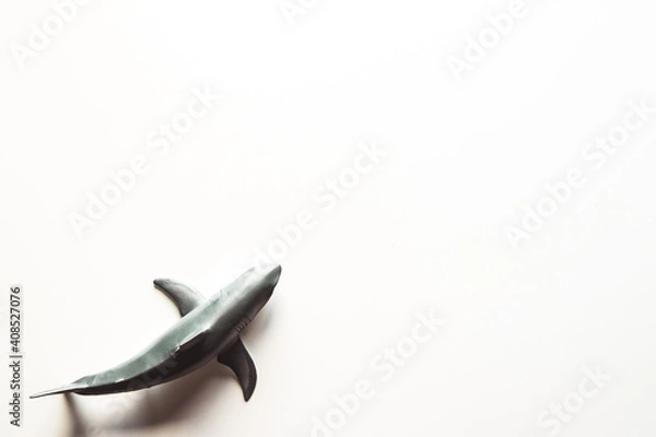 Obraz Shark on White Background