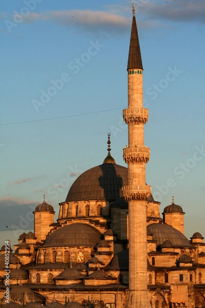 Obraz Mosque