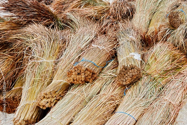 Fototapeta Close-up detail view of bundles of cut cogon grass, used as roofing materials in the Philippines, Asia