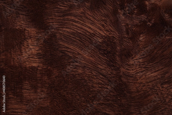Fototapeta large frame brown wood texture High quality background made of dark natural wood in grunge style. copy space for your design or text. Horizontal composition with top view of Surface patterns concept