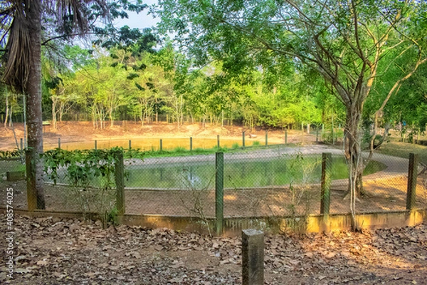 Obraz trees in the garden