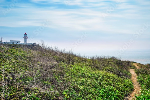 Obraz seaside meadow (1)