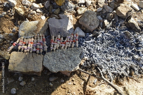 Obraz Grilled meat in the open air
