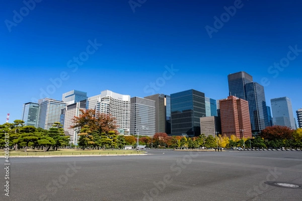 Fototapeta 東京都 丸の内 高層ビル群 秋