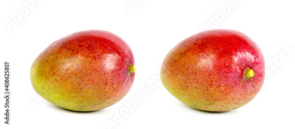 Obraz fresh mango fruit  isolated on white background