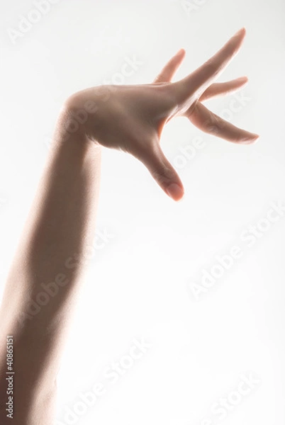 Fototapeta beautiful hand