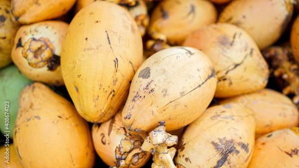 Fototapeta Golden king coconuts, a pile of raw and ripe coconuts. Coconut oil ingredient, fruit market in Asia, Hainan Island in China.