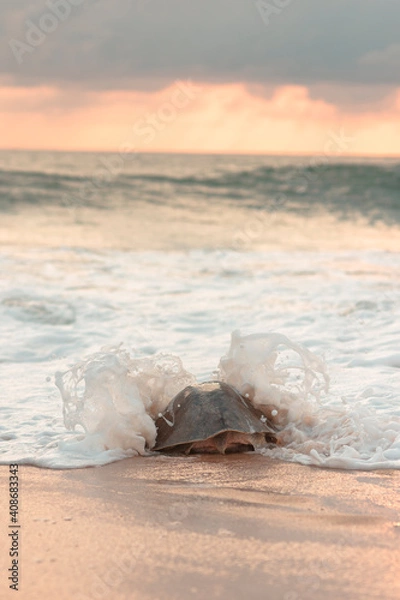 Obraz waves on the beach
